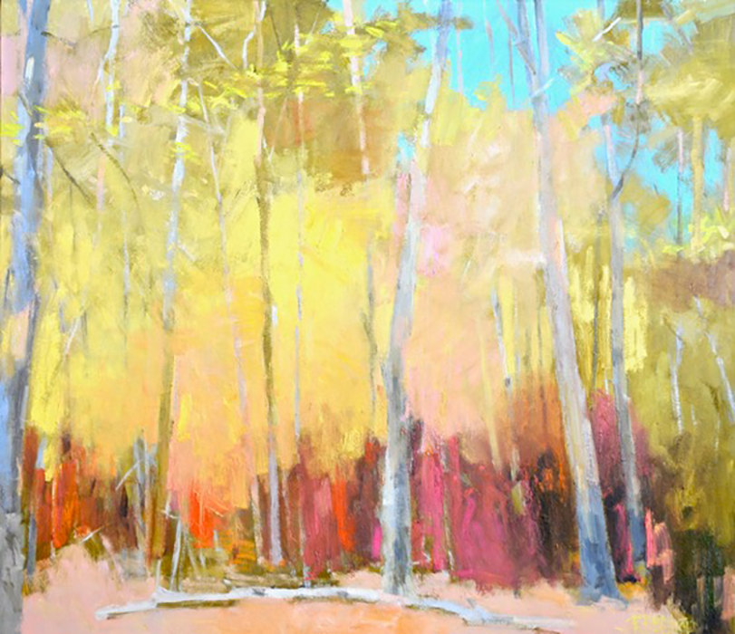 Soft Woodlands Hues 40″ X 46″