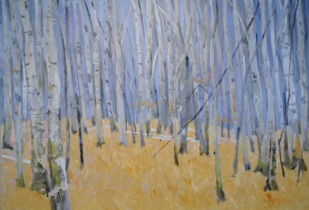 Birch  36″ X 52″