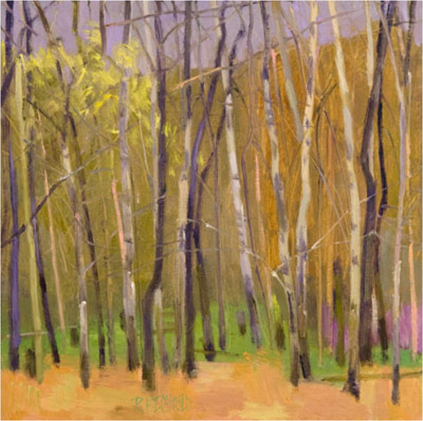 Birches Here And There  24″ X 24″